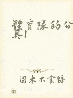 《体育队的公用玩具1》小说封面