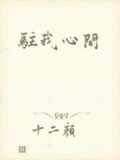 驻我心间