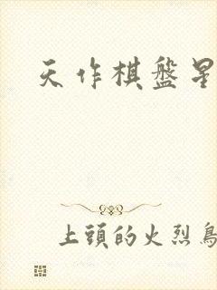 天作棋盘星作子