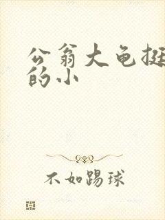 公翁大龟挺进我的小