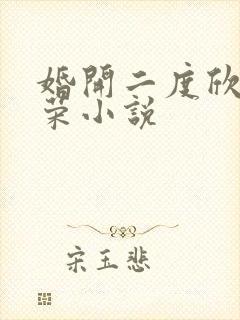 婚开二度欣欣向荣小说