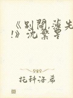 《别闹,薄先生!》沈繁星