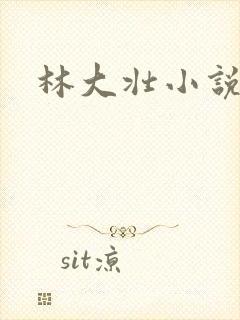 林大壮小说阅读