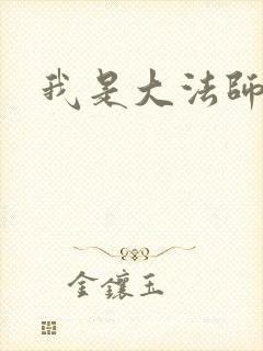 我是大法师封面