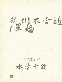 我们不合适1v1军婚