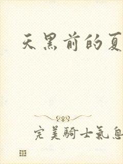 天黑前的夏天