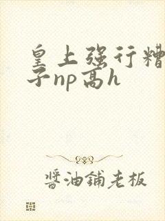 皇上强行糟蹋太子np高h