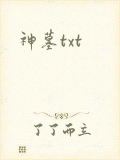 神墓txt
