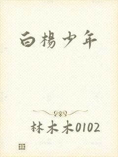 白杨少年