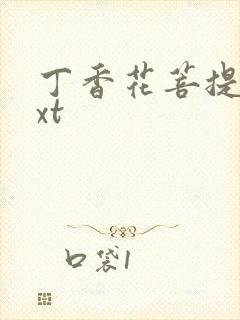 丁香花菩提树txt