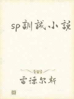 sp训诫小说