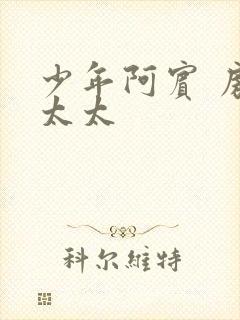 少年阿宾 房东太太