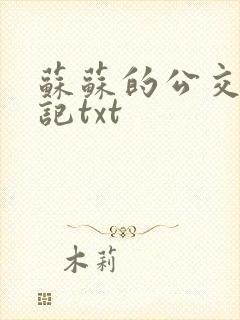 苏苏的公交车日记txt封面