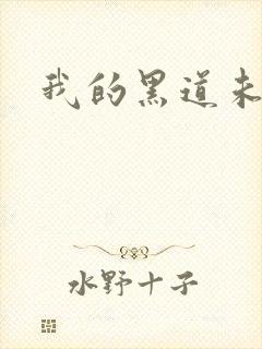 我的黑道未婚夫