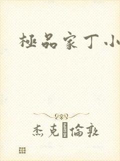 极品家丁小说