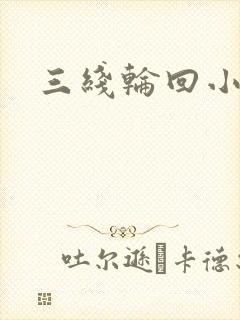 三线轮回小说