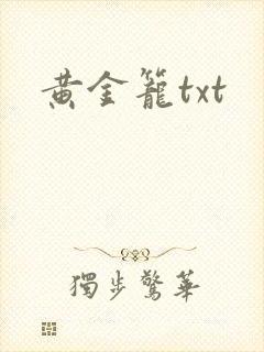 黄金笼txt