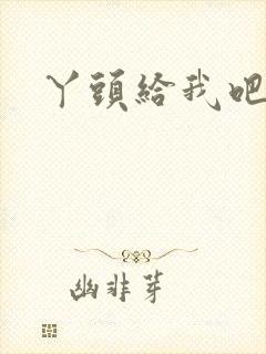 丫头给我吧封面