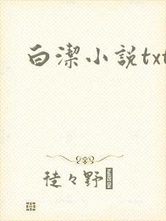 白洁小说txt封面