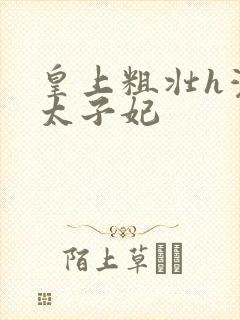 皇上粗壮h灌满太子妃封面