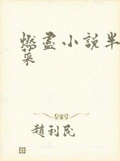 燃尽小说半截白菜