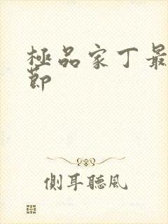 极品家丁最新章节