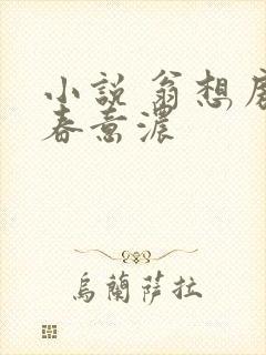 小说 翁想房中春意浓封面