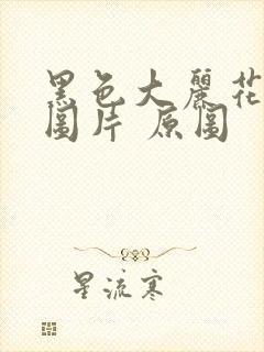 黑色大丽花真实图片 原图