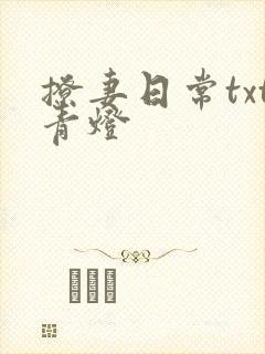 撩妻日常txt青灯