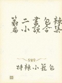 第二书包辣网短篇小说合集