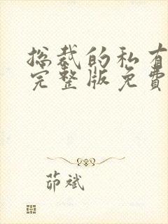 总裁的私有宝贝完整版免费阅读