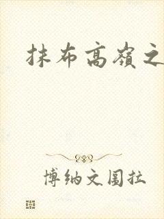 抹布高岭之花封面