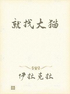 就找大猫