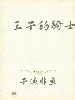 王子的骑士小说
