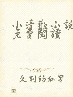 小清欢小说全文免费阅读