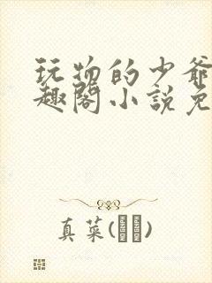 玩物的少爷们笔趣阁小说免费阅读