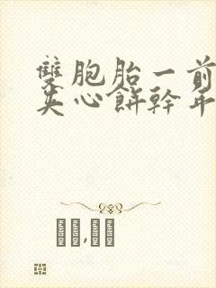 双胞胎一前一后夹心饼干年下