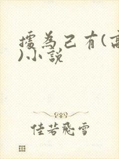 据为己有(高干)小说