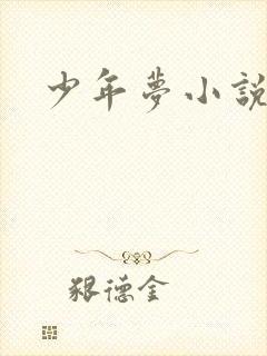 少年梦小说