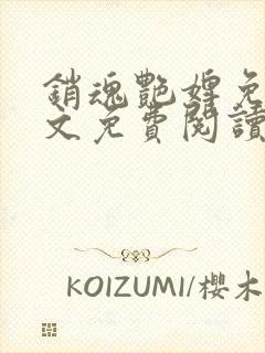 销魂艳婢免费全文免费阅读