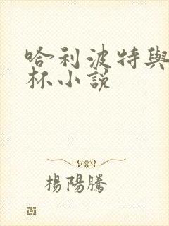 哈利波特与火焰杯小说