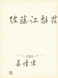 佐藤江梨花封面