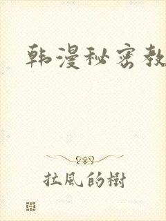 韩漫秘密教学封面