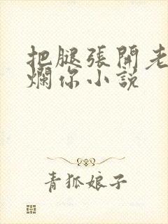 把腿张开老子臊烂你小说