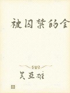 被囚禁的金丝雀