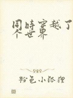 同时穿越了99个世界