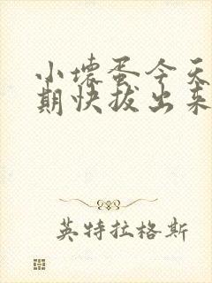 小坏蛋今天危险期快拔出来