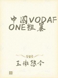 中国VODAFONE粗暴