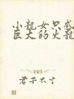 小龙女只感觉那巨大的火龙枪