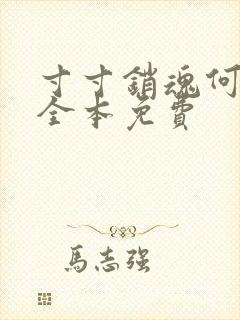 寸寸销魂何生祥全本免费